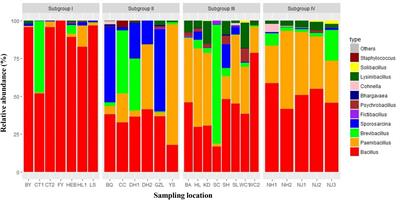 The Diversity and Geographic Distribution of Cultivable Bacillus-Like Bacteria Across Black Soils of Northeast China